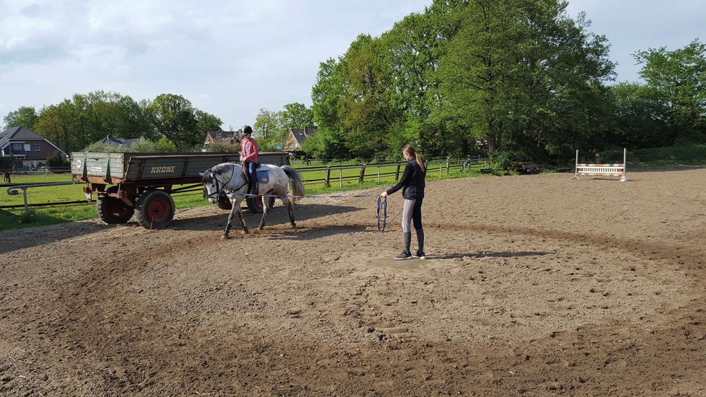 20180427_164725_800x800@2x.jpg 20180427_164725_800x800@2x.jpg